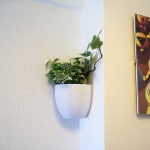 Pot de fleur mural imprimé impression imprimante 3d