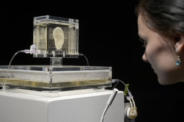 3d-printing-van-gogh-papacanyouhearme