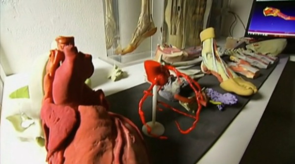 melbourne-organe-entrainement