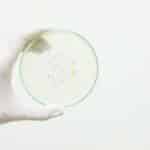 matériau vivant par ingénierie