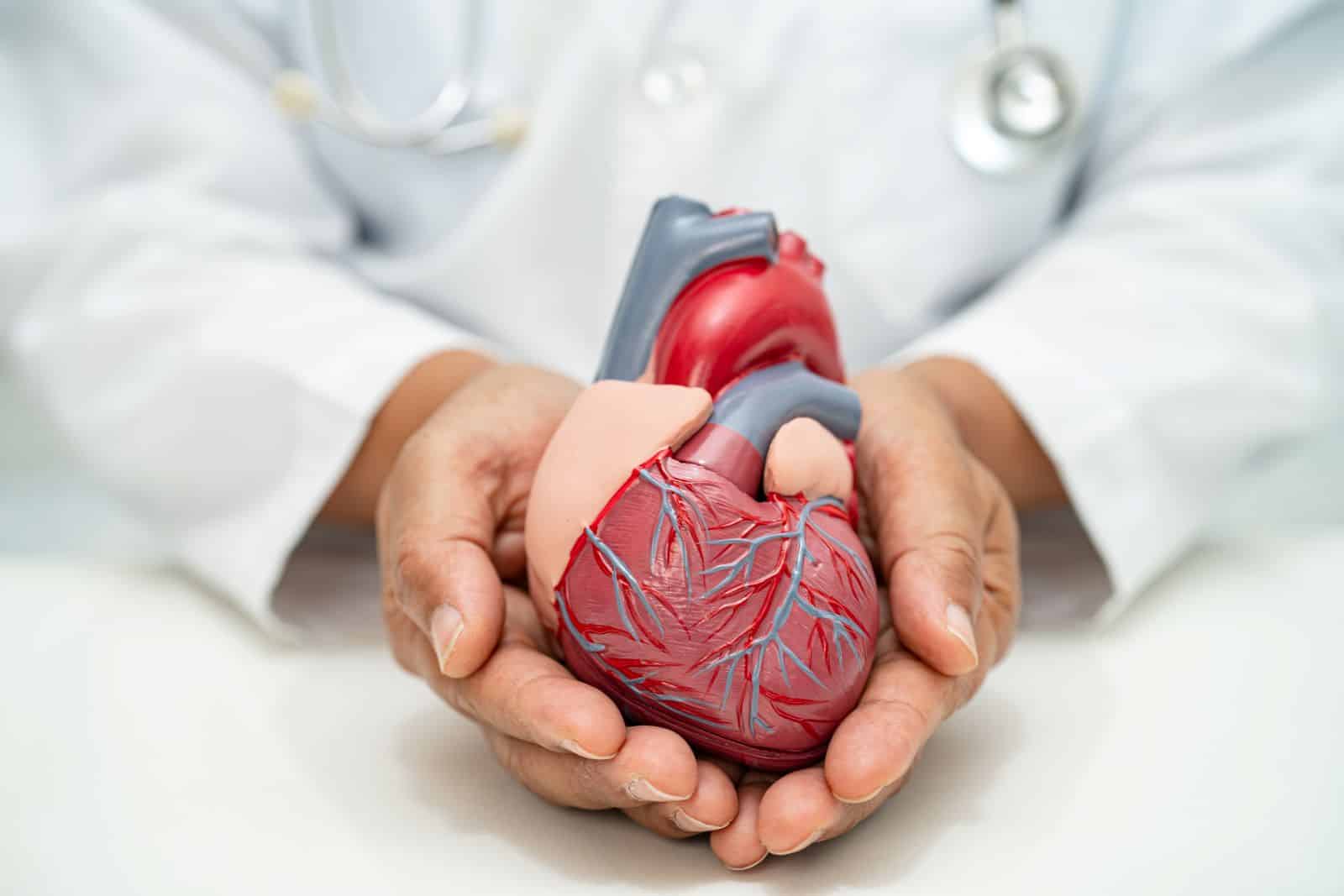 Un cœur imprimé en 3D qui bat et qui saigne comme un vrai cœur humain! Une avancée spéctaculaire